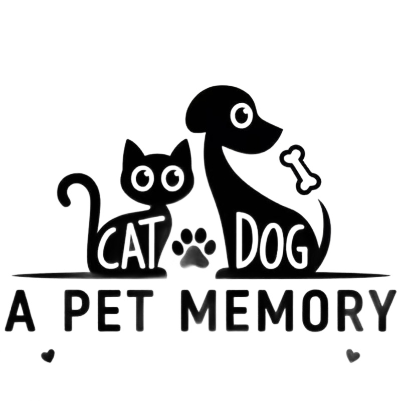 B Pet Memory