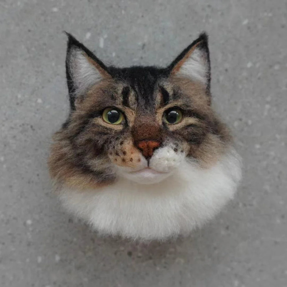 Customized Pet Ornaments