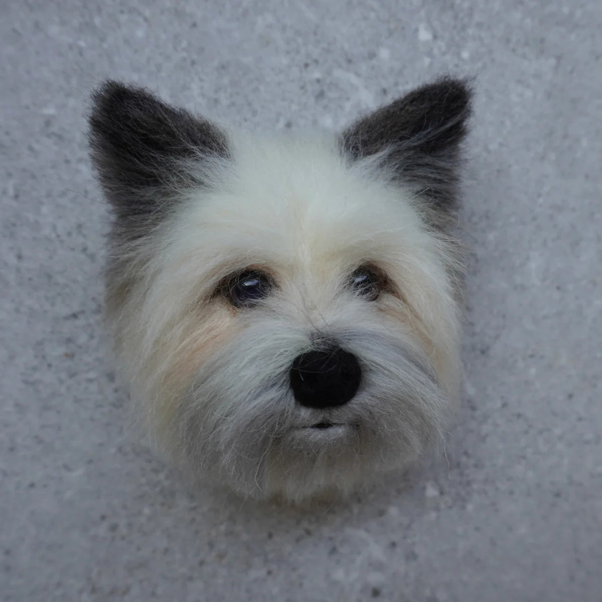 Customized Pet Ornaments