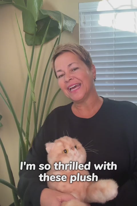 shopgracias-app-videos