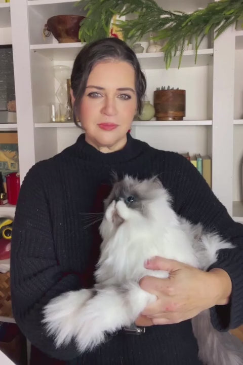 shopgracias-app-videos